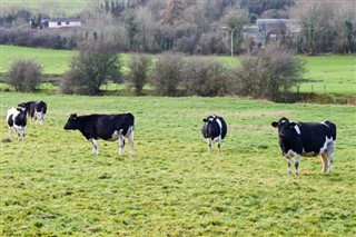 Ireland weather forecast