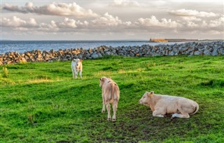 Ireland weather forecast