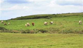 Irlandia prognoza pogody