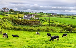 Ireland weather forecast