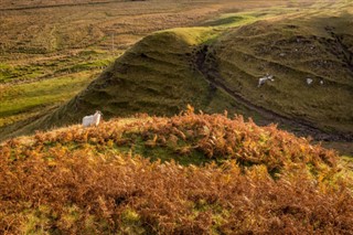 Isle of Man prognoza pogody