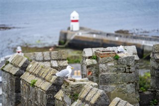 Isle of Man weather forecast