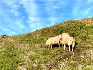 Isle of Man weather forecast