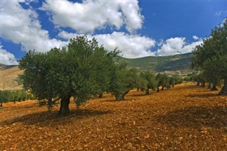 Israel weather forecast