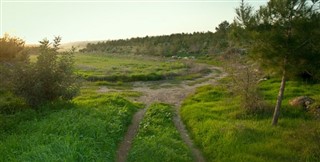 Israel weather forecast