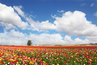 Israel weather forecast