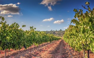 Israel weather forecast