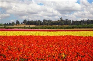 Israel weather forecast