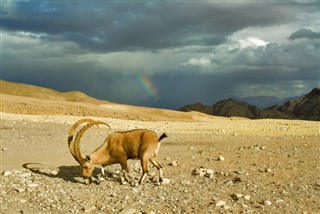 Israel weather forecast