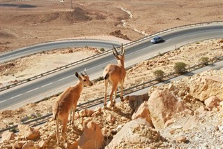 Israel weather forecast