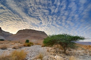 Israel weather forecast