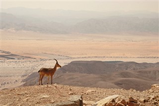 Israel weather forecast