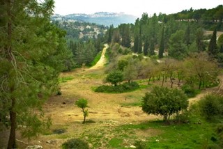 Israel weather forecast