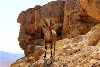 Israel weather forecast