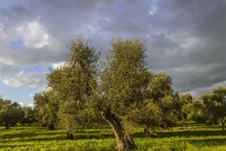 Italy weather forecast