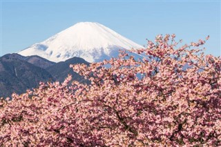 Japan weather forecast