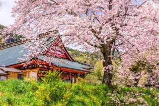 Japan weather forecast