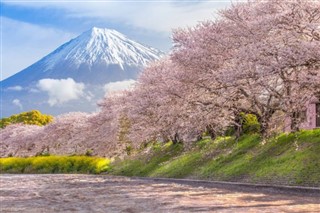 Japonia prognoza pogody