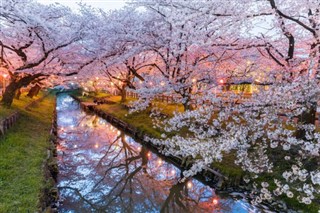 Japan weather forecast