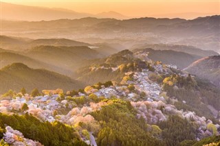 Japan weather forecast