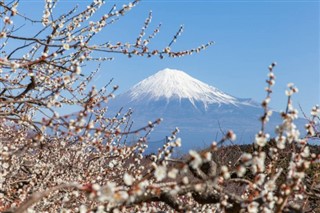 Japan weather forecast