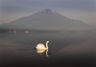 Japan weather forecast