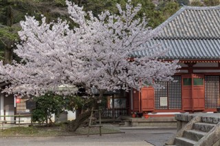 Japan weather forecast