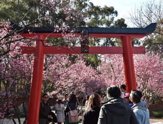 Japan weersvoorspelling