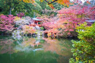 Japan weather forecast