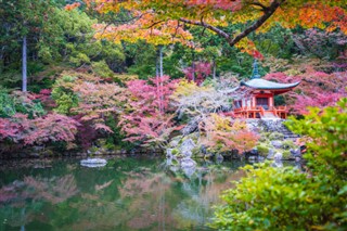 Japan weather forecast