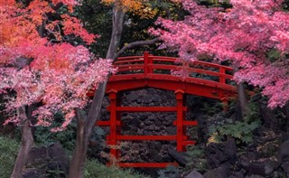 Japan weather forecast