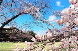 Japan weather forecast