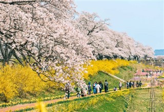 Japan weather forecast