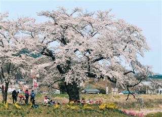 Japan weather forecast