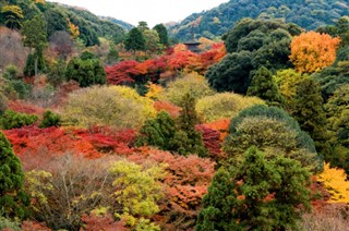 Japan weather forecast