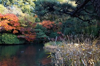 Japan weather forecast