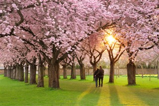 Japan weather forecast