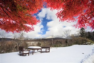 Japan weather forecast