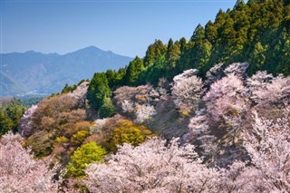 Japan weather forecast