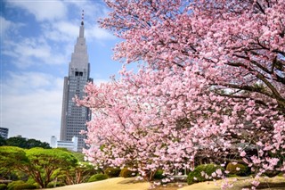 Japan weather forecast