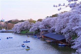 Japan weather forecast