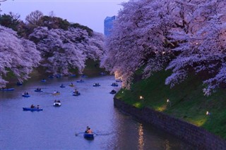 Japan weather forecast