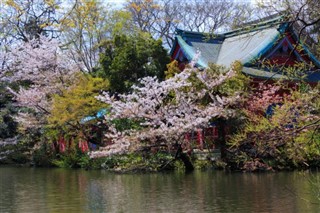 Japan weather forecast