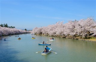 Japan weather forecast