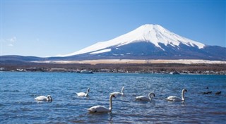 Japan weather forecast