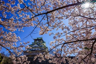 Japan weather forecast