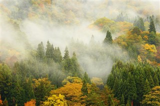 Japan weather forecast