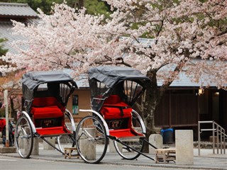 Japan weather forecast