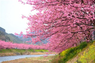 Japan weather forecast