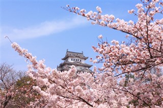 Japan weather forecast